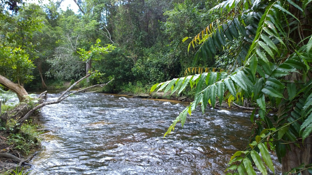 Kulen Mountain