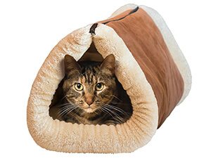 Kitty Shack - 2 in 1 Tube Cat Mat and Bed, Pet Accessories