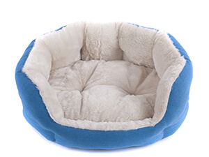 Favorite Cozy Plush Cuddle Bed